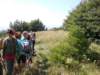 dscn0313_small.jpg