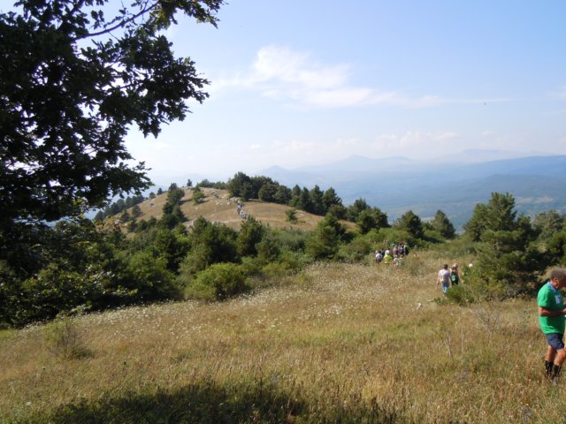 dscn0317.jpg
