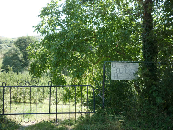 P1000653