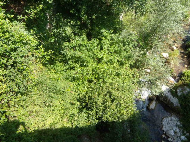 photo49.jpg