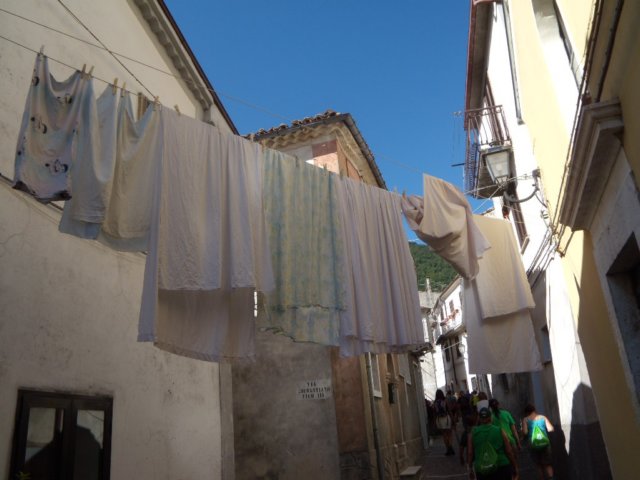 photo41.jpg