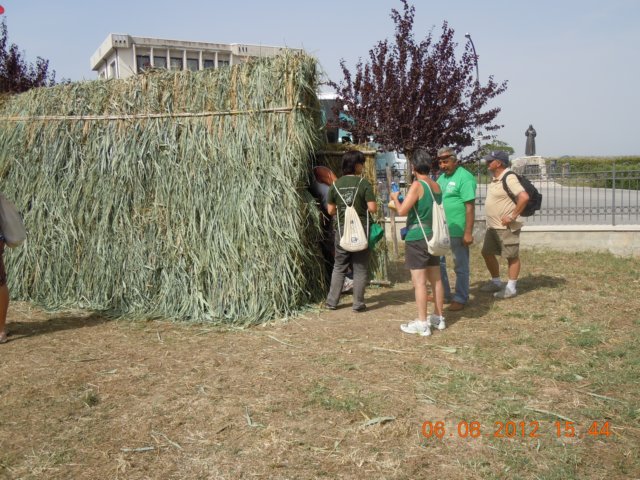 dscn4390.jpg