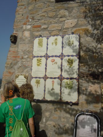 dscn4307.jpg